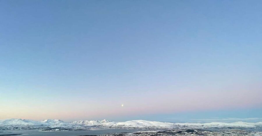 Tromso: Sightseeing Cruise by Catamaran with Snacks & Drinks - Wildlife depends on the season