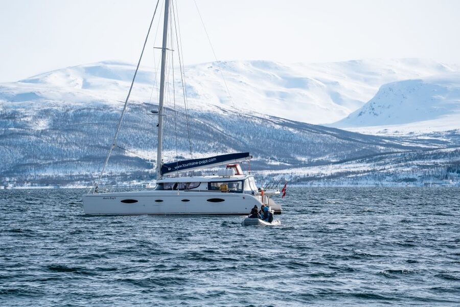 Tromso: Sightseeing Cruise by Catamaran with Snacks & Drinks - Weather, waves, and the honest drawback