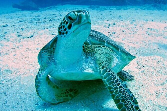 Tropical Catamaran Snorkeling & Sailing - The open bar shapes the mood