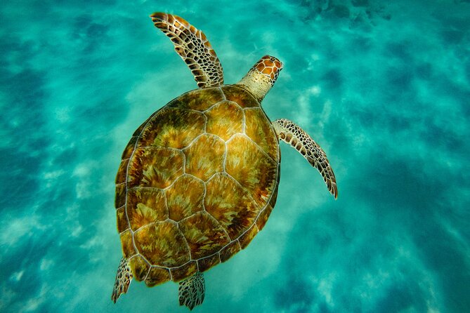 Turtle and Shipwreck adventure on 57 ft catamaran - Why the 57-foot catamaran matters