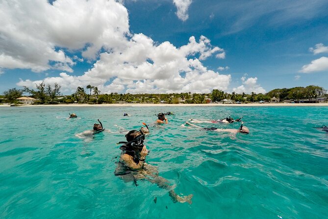 Turtle and Shipwreck adventure on 57 ft catamaran - From Bridgetown dock to the Marine Park