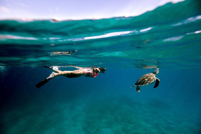 Turtle Cove Catamaran Snorkel and Sail at Little Buck Island STT - Key points to know before booking