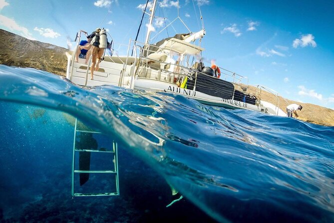 Turtles & Tacos Luxury Catamaran Snorkel - Crew service, from safety briefing to sail home