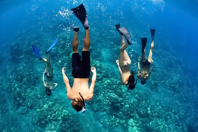 Turtles & Tacos Luxury Catamaran Snorkel - The catamaran ride is part of the value