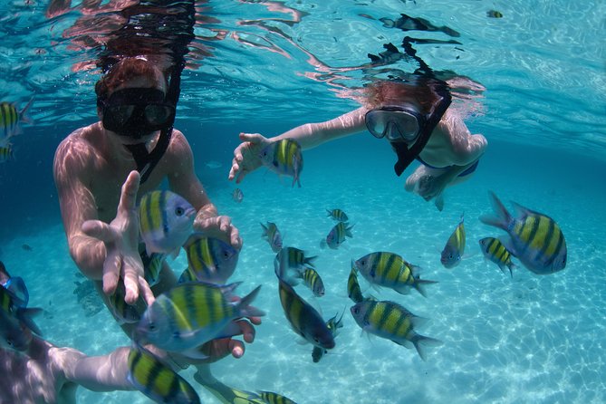 Up to 15 passengers Private Catamaran Sailing from Punta Cana - Barbecue, open bar, and dancing on the way back