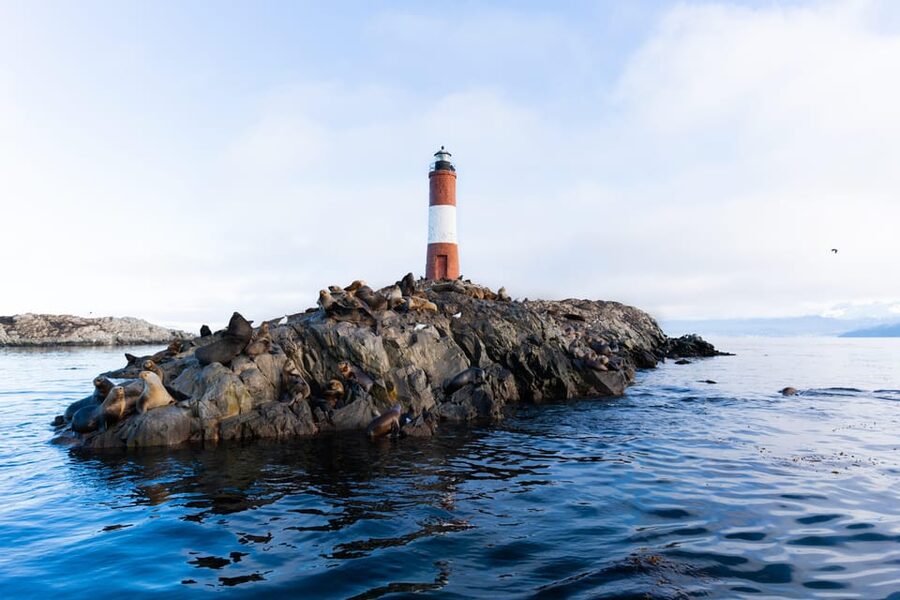 Ushuaia: Beagle Channel Catamaran Tour - A short landing on Bridges Island