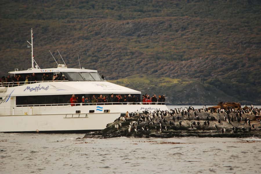 Ushuaia: Penguin Watching Tour by Catamaran - Bird Island and the first wildlife sightings