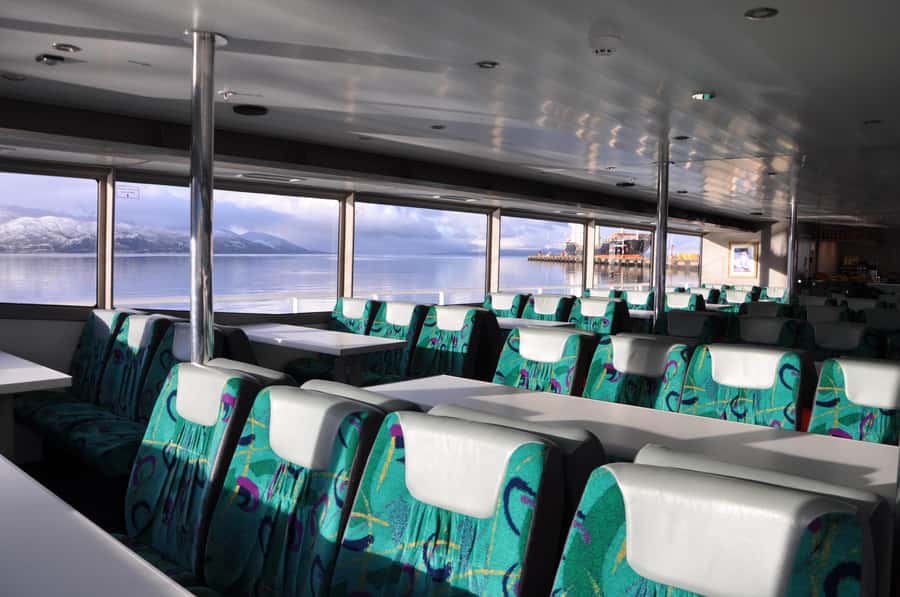Ushuaia: Penguin Watching Tour by Catamaran - Returning to Ushuaia aboard a comfortable catamaran