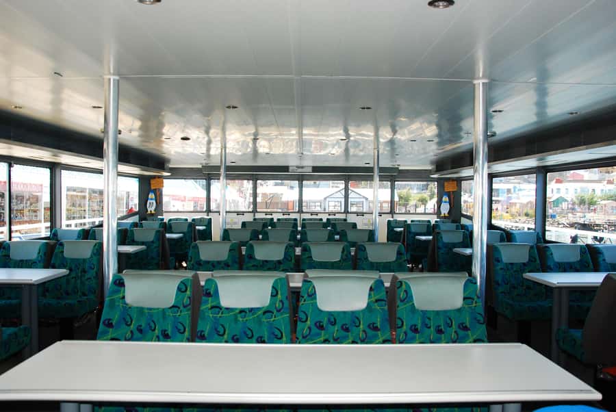 Ushuaia: Penguin Watching Tour by Catamaran - Is $180 a fair price?