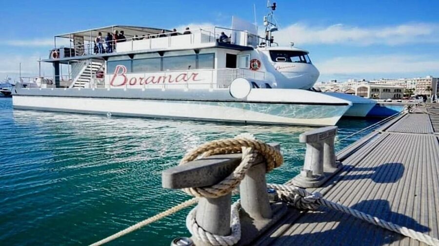 Valencia: Catamaran Cruise with Stop for Swimming - Sailing toward Port Saplaya