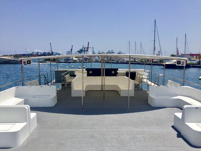 Valencia: Catamaran Cruise with Stop for Swimming - The open-sea swimming stop