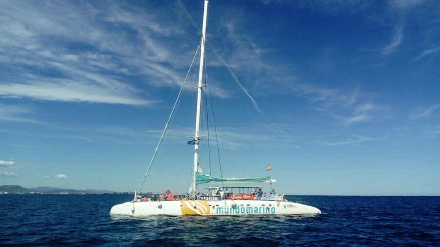 Valencia: Sailing Catamaran Cruise with Valencian Lunch - Who should book this Valencia catamaran cruise?