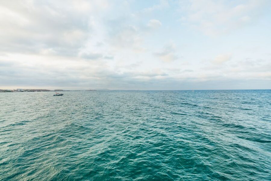 Valencia: Sunset or Daytime Catamaran Cruise with Drink - Who will enjoy this most?