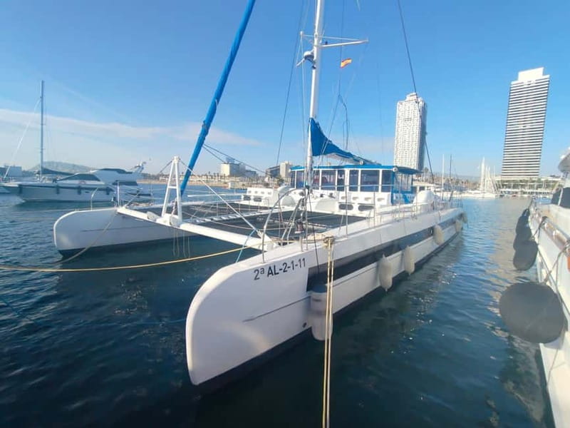 Vermouth on Catamaran: A Gastronomic Experience in Barcelona - Vermouth, wine, beer, and the food question