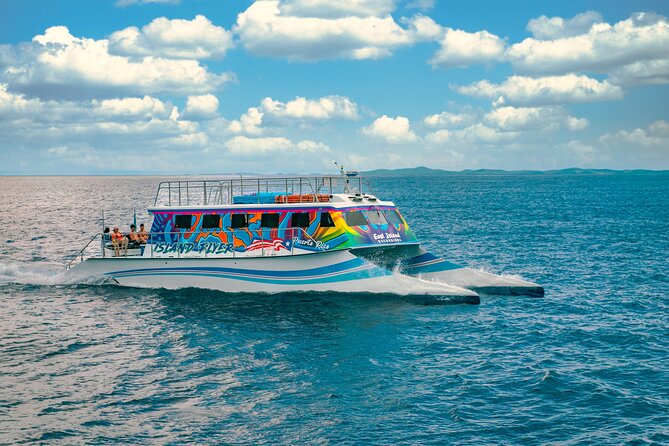 Vieques: Beach and Snorkeling Tour by Catamaran from Fajardo - Timing, group size, and who will enjoy it most