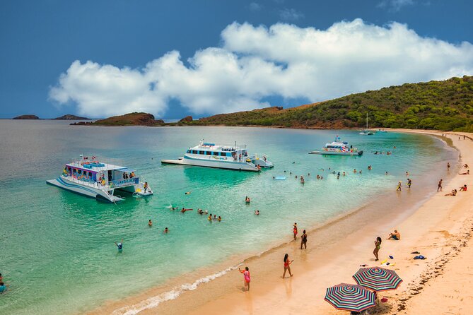Vieques: Beach and Snorkeling Tour by Catamaran from Fajardo - Is $180 good value?