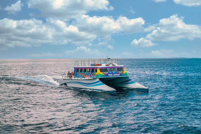 Vieques: Beach and Snorkeling Tour by Catamaran from Fajardo - Four hours for swimming, snorkeling, and beach time
