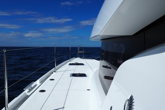 VIP Catamaran Private Tour in Lisbon up to 18 clients - Praça do Comércio and the statue of D. José I