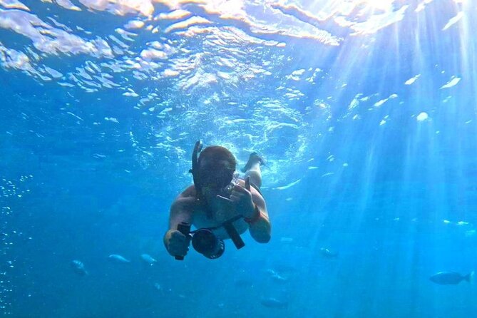 Waikiki Catamaran Escape: Snorkel with Turtles & Water Sports Fun - Turtle Snorkeling Near Waikiki