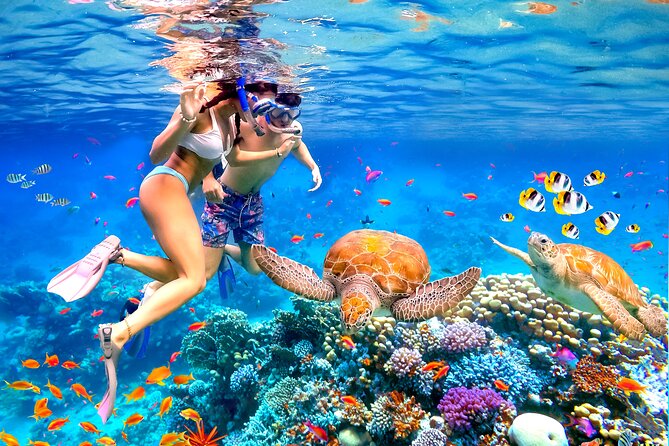 Waikiki Catamaran Escape: Snorkel with Turtles & Water Sports Fun - The Ride Toward Diamond Head