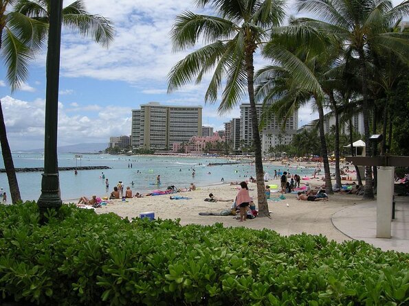 Waikiki Catamaran Snorkel Sail with Lunch: Turtles Guaranteed - Turtle Canyon Is the Reason to Book