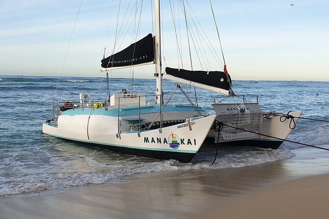Waikiki Turtle Snorkel and Sail on Hawea Catamaran - What you may see beneath the surface