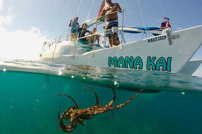 Waikiki Turtle Snorkel and Sail on Hawea Catamaran - What the 2.5-hour schedule feels like