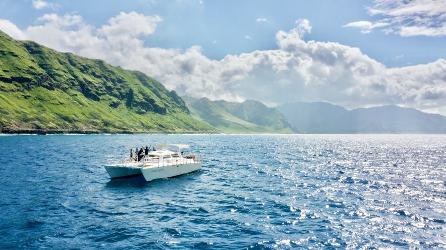 West O'ahu: Swim with Dolphins Catamaran Cruise - Searching for dolphins in open water