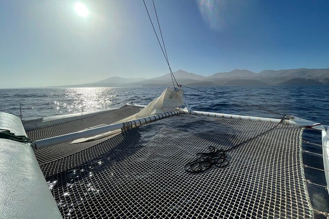 Whale & Dolphin Observation on Silent Catamaran with Hydrophone - Key points to know before booking