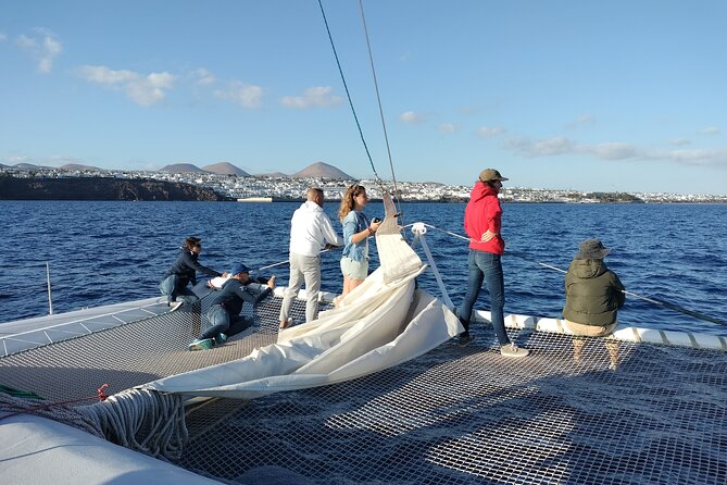 Whale & Dolphin Observation on Silent Catamaran with Hydrophone - Snacks, drinks, and comfort during the four-hour outing