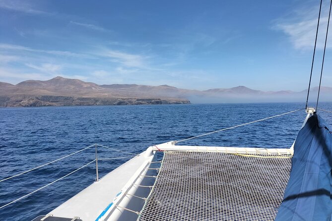 Whale & Dolphin Observation on Silent Catamaran with Hydrophone - What the hydrophone really adds