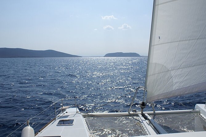 Whale & Dolphin Watching in Tenerife (Puerto Colon) On a Large Catamaran - Who will enjoy this trip most