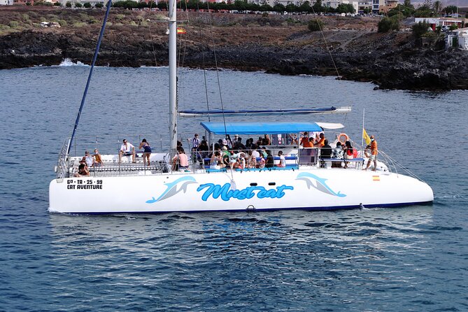 Whale & Dolphin Watching With Mustcat Virgin Coast Trip On a Large Catamaran - A swim near the beach or Palm Mar cave
