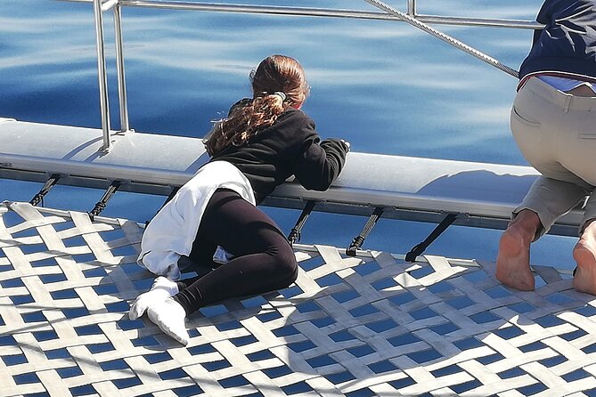 Whale & Dolphin Watching With Mustcat Virgin Coast Trip On a Large Catamaran - How the group size changes the experience