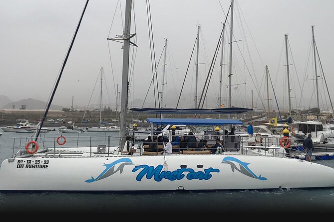 Whale & Dolphin Watching With Mustcat Virgin Coast Trip On a Large Catamaran - Watching the water for whales and dolphins