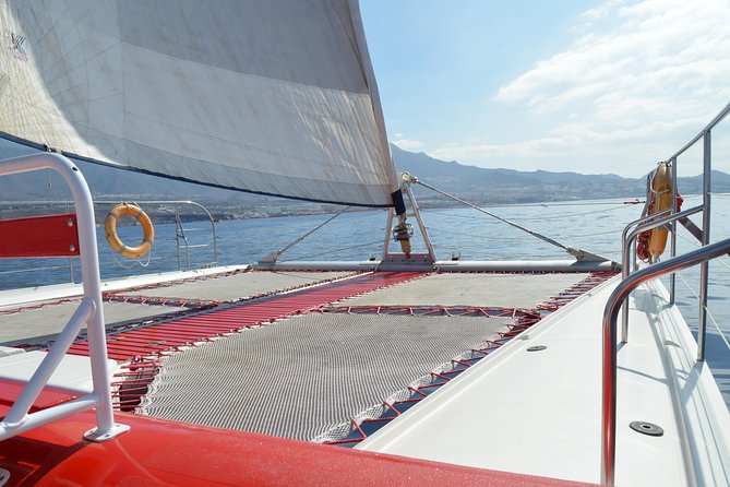 Whale Watching and Listening Eco Catamaran Tour with Food Tasting - Key points at a glance