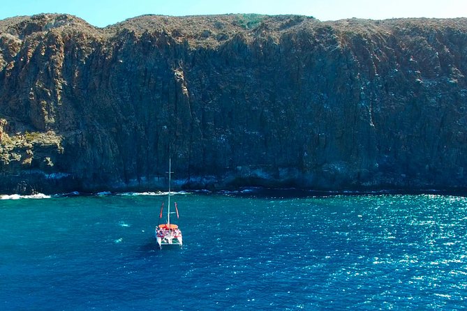 Whale Watching and Listening Eco Catamaran Tour with Food Tasting - Five hours on Tenerife’s whale coast