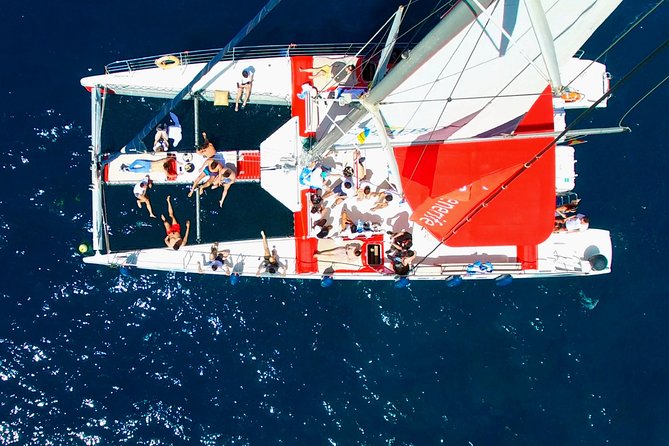 Whale Watching and Listening Eco Catamaran Tour with Food Tasting - Swimming and snorkeling, with a short clock