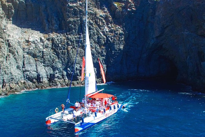 Whale Watching and Listening Eco Catamaran Tour with Food Tasting - The crew sets the tone