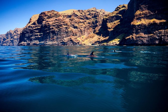 Whale Watching and Listening Eco Catamaran Tour with Food Tasting - Finding a comfortable place onboard