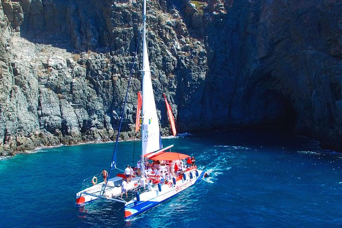 Whale watching and listening Eco-Catamaran Tour with Food Tasting - Who will enjoy this Tenerife catamaran tour?