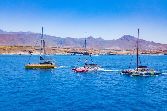 Whale Watching Catamaran in Costa Adeje (Including drinks & Sandwich) - Is the $56.72 price good value?