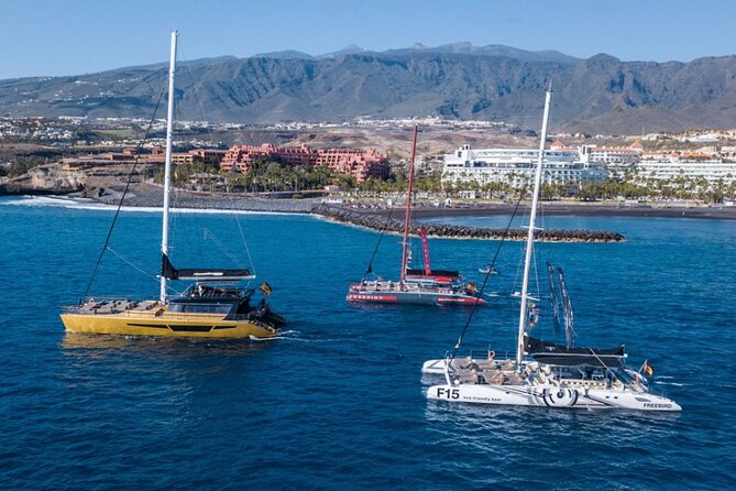 Whale Watching Catamaran in Costa Adeje (Including drinks & Sandwich) - Pickup, mobile tickets, and timing tips