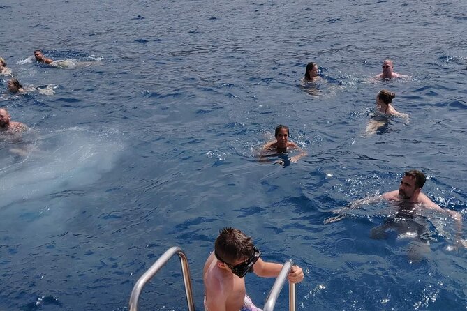 Whale Watching Catamaran in Costa Adeje (Including drinks & Sandwich) - Seasickness, weather, and comfort