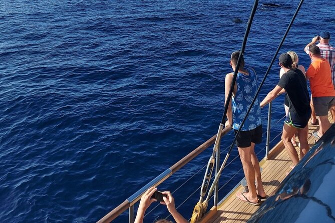 Whale Watching Catamaran to Los Gigantes & Masca (Including drinks & warm lunch) - What the group size means