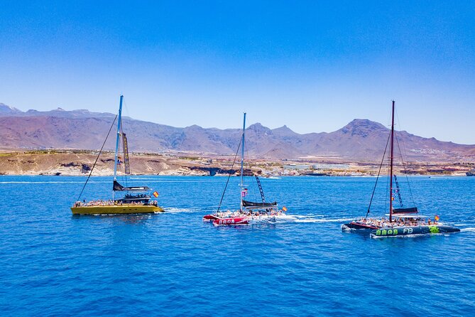 Whale Watching Catamaran to Los Gigantes & Masca (Including drinks & warm lunch) - Who will enjoy this cruise most