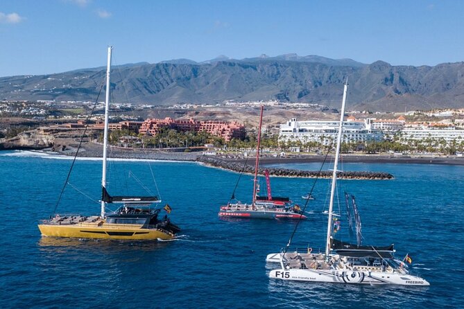 Whale Watching Catamaran to Los Gigantes & Masca (Including drinks & warm lunch) - Is the $72.08 price fair?