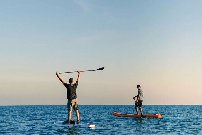 Whale Watching in Trincomalee by Catamaran cruise - A closer look at the seven-hour schedule