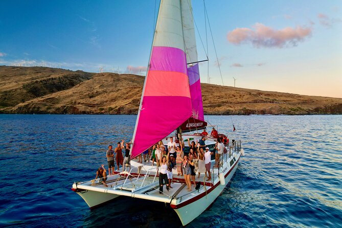 Whale Watching Tour on a Charming Hawaiian Catamaran From Maalaea - The First Whale Search from Maalaea