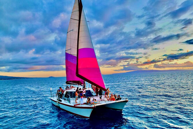 Whale Watching Tour on a Charming Hawaiian Catamaran From Maalaea - Who Will Enjoy This Boat Most